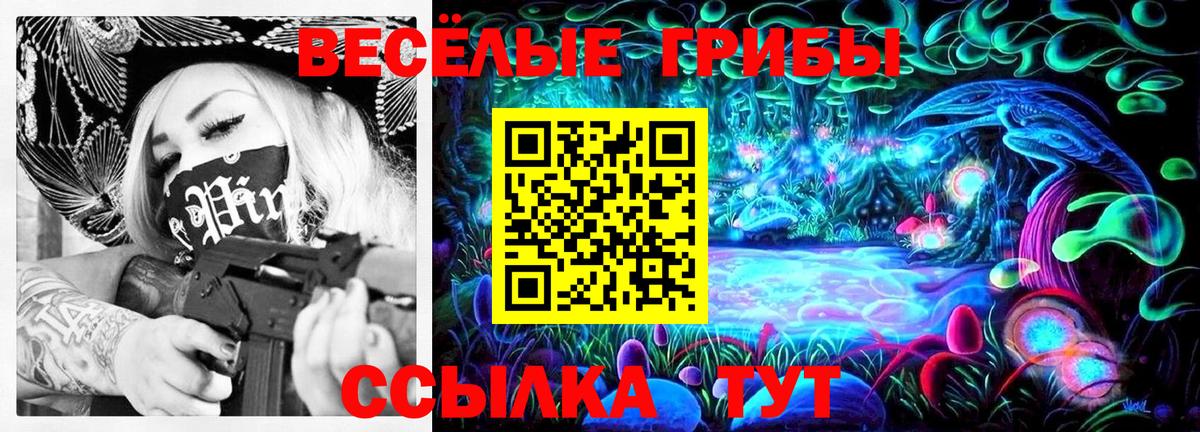 Галлюциногенные грибы MAGIC MUSHROOMS  Вход с VPN  Алексеевка 